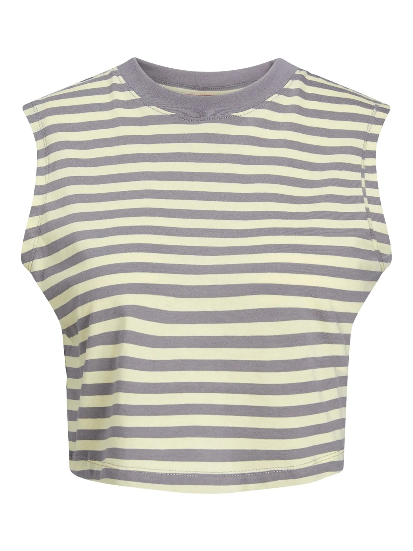 Alvira Crop Stripe T-Shirt