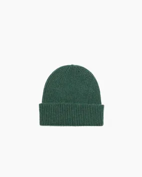 Colourful Standard Beanie