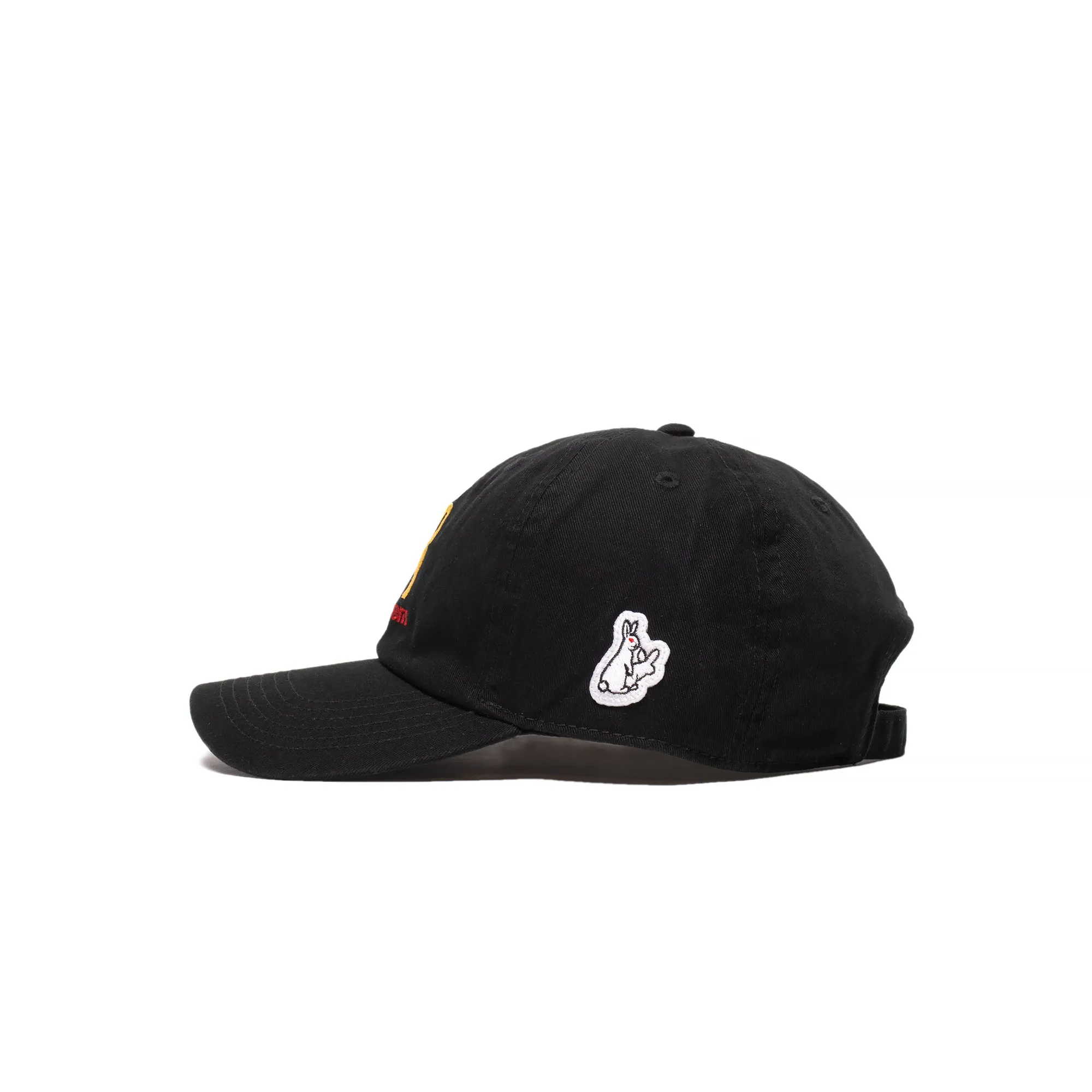 #FR2 FR Logo Cap